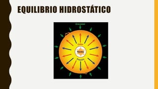 EQUILIBRIO HIDROSTÁTICO
 