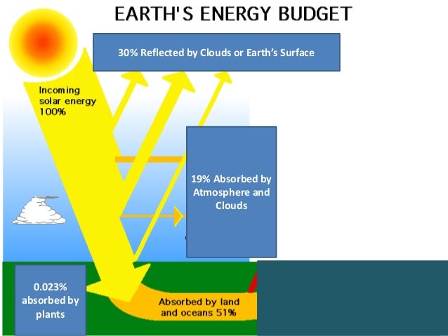 5 energy flow in nature fall 2015 14 638