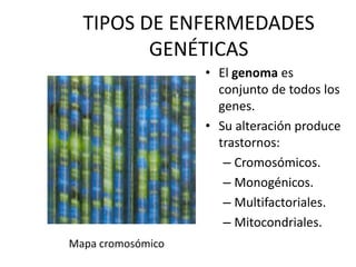 TIPOS DE ENFERMEDADES
GENÉTICAS
• El genoma es
conjunto de todos los
genes.
• Su alteración produce
trastornos:
– Cromosómicos.
– Monogénicos.
– Multifactoriales.
– Mitocondriales.
Mapa cromosómico
 