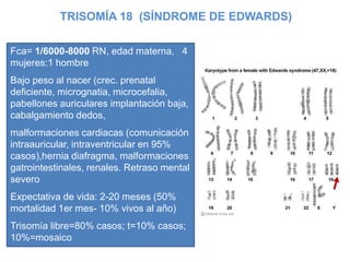 TRISOMÍA 18 (SÍNDROME DE EDWARDS)
Fca= 1/6000-8000 RN, edad materna, 4
mujeres:1 hombre
Bajo peso al nacer (crec. prenatal
deficiente, micrognatia, microcefalia,
pabellones auriculares implantación baja,
cabalgamiento dedos,
malformaciones cardiacas (comunicación
intraauricular, intraventricular en 95%
casos),hernia diafragma, malformaciones
gatrointestinales, renales. Retraso mental
severo
Expectativa de vida: 2-20 meses (50%
mortalidad 1er mes- 10% vivos al año)
Trisomía libre=80% casos; t=10% casos;
10%=mosaico
 