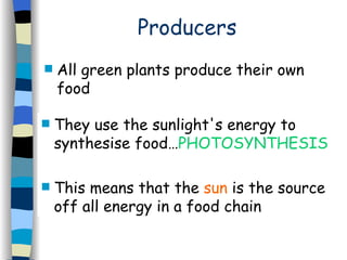 Producers All green plants produce their own food  They use the sunlight's energy to synthesise food… PHOTOSYNTHESIS   This means that the  sun  is the source off all energy in a food chain 