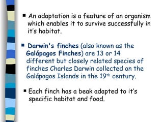 An adaptation is a feature of an organism  which enables it to survive successfully in  it’s habitat. Darwin's finches  (also known as the  Galápagos Finches ) are 13 or 14  different but closely related species of  finches Charles Darwin collected on the  Galápagos Islands in the 19 th  century. Each finch has a beak adapted to it’s  specific habitat and food.  