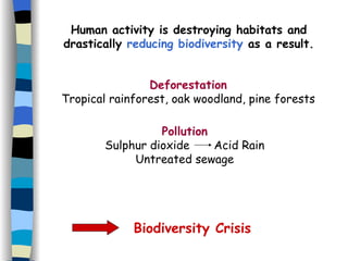 Human activity is destroying habitats and drastically  reducing biodiversity  as a result. Deforestation Tropical rainforest, oak woodland, pine forests Pollution Sulphur dioxide  Acid Rain Untreated sewage Biodiversity Crisis 