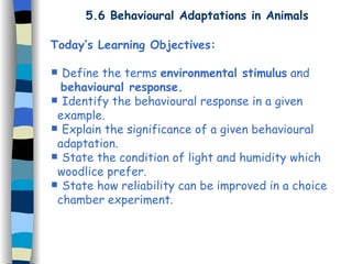 5.6 Behavioural Adaptations in Animals Today’s Learning Objectives: Define the terms  environmental stimulus  and  behavioural response. Identify the behavioural response in a given  example. Explain the significance of a given behavioural  adaptation. State the condition of light and humidity which  woodlice prefer. State how reliability can be improved in a choice  chamber experiment. 