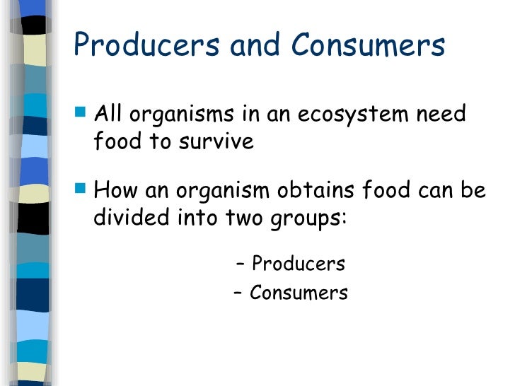 What Is A Consumer In Biology Slide Share