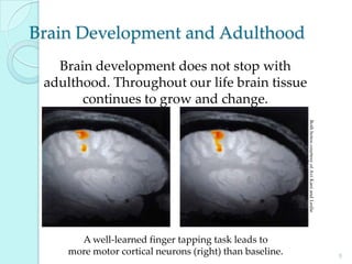 5 environmental influences on behavior | PPT