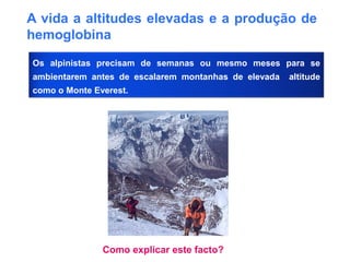 A vida a altitudes elevadas e a produção de
hemoglobina
Os alpinistas precisam de semanas ou mesmo meses para se
ambientarem antes de escalarem montanhas de elevada altitude
como o Monte Everest.
Como explicar este facto?
 