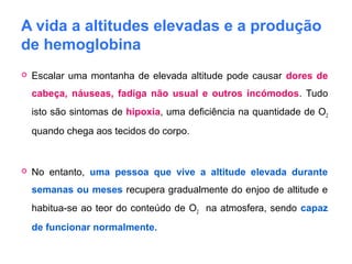 A vida a altitudes elevadas e a produção
de hemoglobina
 Escalar uma montanha de elevada altitude pode causar dores de
cabeça, náuseas, fadiga não usual e outros incómodos. Tudo
isto são sintomas de hipoxia, uma deficiência na quantidade de O2
quando chega aos tecidos do corpo.
 No entanto, uma pessoa que vive a altitude elevada durante
semanas ou meses recupera gradualmente do enjoo de altitude e
habitua-se ao teor do conteúdo de O2 na atmosfera, sendo capaz
de funcionar normalmente.
 