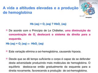 Hb (aq) + O2 (aq) ? HbO2 (aq)
 De acordo com o Princípio de Le Châtelier, uma diminuição da
concentração de O2 deslocará o sistema da direita para a
esquerda.
Hb (aq) + O2 (aq) ← HbO2 (aq)
 Esta variação elimina a oxi-hemoglobina, causando hipoxia.
 Desde que se dê tempo suficiente o corpo é capaz de se defender
desta adversidade produzindo mais moléculas de hemoglobina. O
equilíbrio desloca-se então gradualmente da esquerda para a
direita novamente, favorecendo a produção de oxi-hemoglobina.
A vida a altitudes elevadas e a produção
de hemoglobina
 