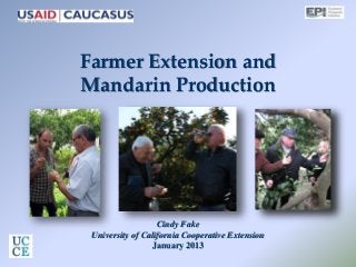 Farmer Extension and
Mandarin Production
Cindy Fake
University of California Cooperative Extension
January 2013
 