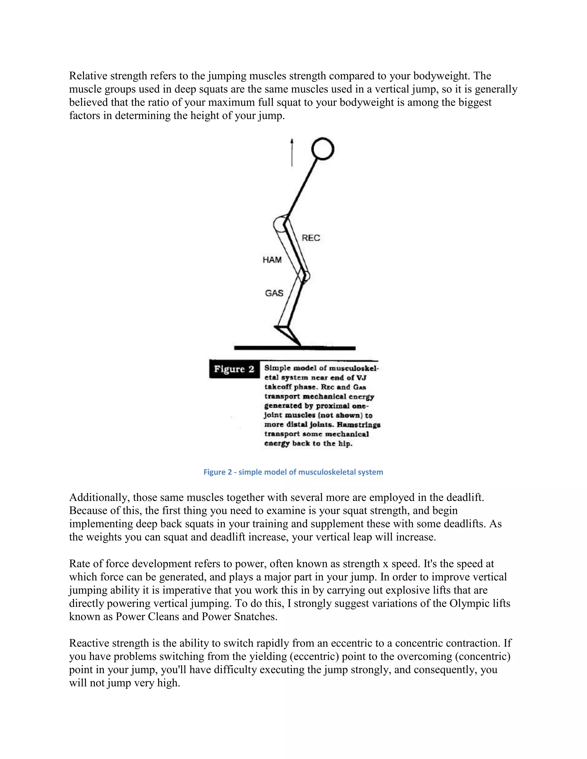 5 Factors Affecting Vertical Jump PDF