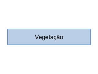 Vegetação
 