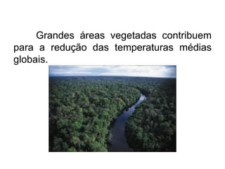 Grandes áreas vegetadas contribuem
para a redução das temperaturas médias
globais.
 