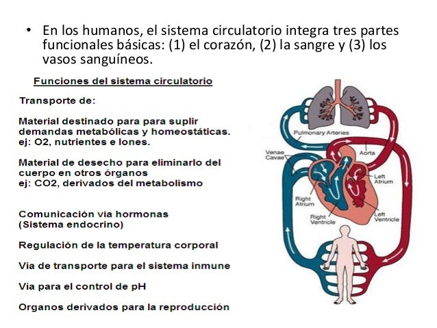 BUSCADOR DE TEMAS