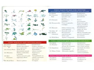 5- Florais de Bach.ppt