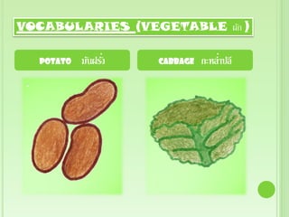 VOCABULARIES (VEGETABLE ผัก )

  Potato         ่
           มันฝรัง   Cabbage       ่
                               กะหลาปลี
 