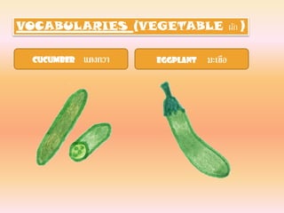 VOCABULARIES (VEGETABLE ผัก )

  Cucumber   แตงกวา   Eggplant   มะเขือ
 