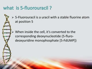  5-Fluorouracil is a uracil with a stable fluorine atom
at position 5
 When inside the cell, it’s converted to the
corresponding deoxynucleotide (5-fluro-
deoxyuridine monophosphate [5-FdUMP])
2
 