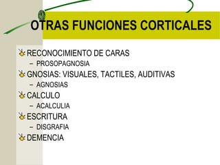 OTRAS FUNCIONES CORTICALES
RECONOCIMIENTO DE CARAS
– PROSOPAGNOSIA
GNOSIAS: VISUALES, TACTILES, AUDITIVAS
– AGNOSIAS
CALCULO
– ACALCULIA
ESCRITURA
– DISGRAFIA
DEMENCIA
 