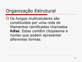 Organização Estrutural Os fungos multicelulares são constituídos por uma rede de filamentos ramificados chamados  hifas . Estas contêm citoplasma e núcleo que podem apresentar diferentes formas. 
