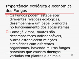 Importância ecológica e económica dos Fungos Os Fungos podem estabelecer diferentes relações ecológicas, desempenham um papel primordial no funcionamento dos ecossistemas. Como já vimos, muitos são decompositores indispensáveis, outros estabelecem relações simbióticas com diferentes organismos, havendo muitos fungos parasitas que causam doenças variadas em plantas e animais. 