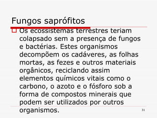 Fungos saprófitos Os ecossistemas terrestres teriam colapsado sem a presença de fungos e bactérias. Estes organismos decompõem os cadáveres, as folhas mortas, as fezes e outros materiais orgânicos, reciclando assim elementos químicos vitais como o carbono, o azoto e o fósforo sob a forma de compostos minerais que podem ser utilizados por outros organismos.  