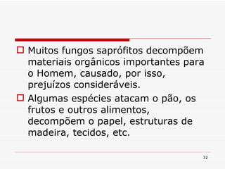 Muitos fungos saprófitos decompõem materiais orgânicos importantes para o Homem, causado, por isso, prejuízos consideráveis. Algumas espécies atacam o pão, os frutos e outros alimentos, decompõem o papel, estruturas de madeira, tecidos, etc. 