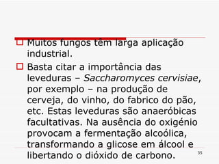 Muitos fungos têm larga aplicação industrial. Basta citar a importância das leveduras –  Saccharomyces cervisiae , por exemplo – na produção de cerveja, do vinho, do fabrico do pão, etc. Estas leveduras são anaeróbicas facultativas. Na ausência do oxigénio provocam a fermentação alcoólica, transformando a glicose em álcool e libertando o dióxido de carbono. 