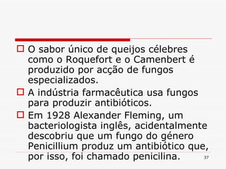 O sabor único de queijos célebres como o Roquefort e o Camenbert é produzido por acção de fungos especializados. A indústria farmacêutica usa fungos para produzir antibióticos. Em 1928 Alexander Fleming, um bacteriologista inglês, acidentalmente descobriu que um fungo do género Penicillium produz um antibiótico que, por isso, foi chamado penicilina. 