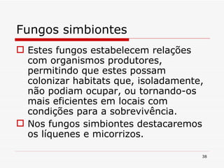 Fungos simbiontes Estes fungos estabelecem relações com organismos produtores, permitindo que estes possam colonizar habitats que, isoladamente, não podiam ocupar, ou tornando-os mais eficientes em locais com condições para a sobrevivência. Nos fungos simbiontes destacaremos os líquenes e micorrizos.  
