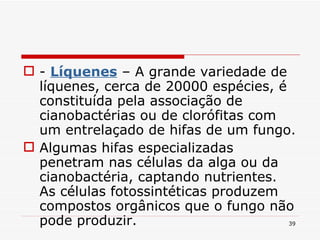 -  Líquenes  – A grande variedade de líquenes, cerca de 20000 espécies, é constituída pela associação de cianobactérias ou de clorófitas com um entrelaçado de hifas de um fungo. Algumas hifas especializadas penetram nas células da alga ou da cianobactéria, captando nutrientes. As células fotossintéticas produzem compostos orgânicos que o fungo não pode produzir. 