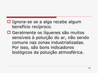 Ignora-se se a alga recebe algum benefício recíproco. Geralmente os líquenes são muitos sensíveis à poluição do ar, não sendo comuns nas zonas industrializadas. Por isso, são bons indicadores biológicos da poluição atmosférica. 