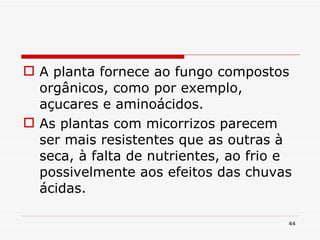 A planta fornece ao fungo compostos orgânicos, como por exemplo, açucares e aminoácidos. As plantas com micorrizos parecem ser mais resistentes que as outras à seca, à falta de nutrientes, ao frio e possivelmente aos efeitos das chuvas ácidas. 