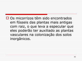 Os micorrizos têm sido encontrados em fósseis das plantas mais antigas com raiz, o que leva a especular que eles poderão ter auxiliado as plantas vasculares na colonização dos solos inorgânicos.  