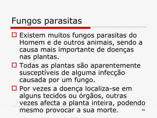 Fungos parasitas Existem muitos fungos parasitas do Homem e de outros animais, sendo a causa mais importante de doenças nas plantas. Todas as plantas são aparentemente susceptíveis de alguma infecção causada por um fungo. Por vezes a doença localiza-se em alguns tecidos ou órgãos, outras vezes afecta a planta inteira, podendo mesmo provocar a sua morte.  