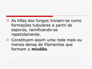    As hifas dos fungos iniciam-se como
    formações tubulares a partir de
    esporos, ramificando-se
    repetidamente.
   Constituem assim uma rede mais ou
    menos densa de filamentos que
    formam o micélio.
 