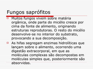 Fungos saprófitos
   Muitos fungos vivem sobre matéria
    orgânica, onde parte do micélio cresce por
    cima da fonte de alimento, originando
    estruturas reprodutoras. O resto do micélio
    desenvolve-se no interior do substrato,
    provocando a sua decomposição.
   As hifas segregam enzimas hidrolíticas que
    lançam sobre o alimento, ocorrendo uma
    digestão extracorporal, em que as
    moléculas complexas são decompostas em
    moléculas simples que, posteriormente são
    absorvidas.
 