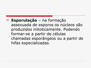    Esporulação – na formação
    assexuada de esporos os núcleos são
    produzidos mitoticamente. Podendo
    formar-se a partir de células
    chamadas esporângeos ou a partir de
    hifas especializadas.
 