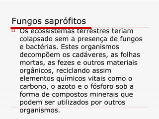 Fungos saprófitos
   Os ecossistemas terrestres teriam
    colapsado sem a presença de fungos
    e bactérias. Estes organismos
    decompõem os cadáveres, as folhas
    mortas, as fezes e outros materiais
    orgânicos, reciclando assim
    elementos químicos vitais como o
    carbono, o azoto e o fósforo sob a
    forma de compostos minerais que
    podem ser utilizados por outros
    organismos.
 
