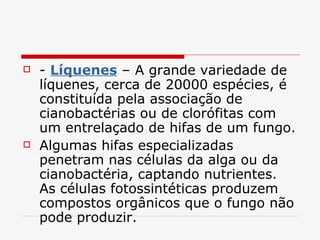    - Líquenes – A grande variedade de
    líquenes, cerca de 20000 espécies, é
    constituída pela associação de
    cianobactérias ou de clorófitas com
    um entrelaçado de hifas de um fungo.
   Algumas hifas especializadas
    penetram nas células da alga ou da
    cianobactéria, captando nutrientes.
    As células fotossintéticas produzem
    compostos orgânicos que o fungo não
    pode produzir.
 