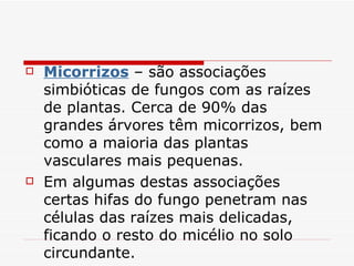    Micorrizos – são associações
    simbióticas de fungos com as raízes
    de plantas. Cerca de 90% das
    grandes árvores têm micorrizos, bem
    como a maioria das plantas
    vasculares mais pequenas.
   Em algumas destas associações
    certas hifas do fungo penetram nas
    células das raízes mais delicadas,
    ficando o resto do micélio no solo
    circundante.
 