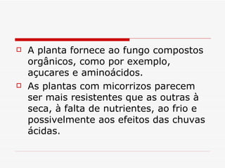    A planta fornece ao fungo compostos
    orgânicos, como por exemplo,
    açucares e aminoácidos.
   As plantas com micorrizos parecem
    ser mais resistentes que as outras à
    seca, à falta de nutrientes, ao frio e
    possivelmente aos efeitos das chuvas
    ácidas.
 