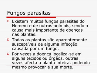 Fungos parasitas
   Existem muitos fungos parasitas do
    Homem e de outros animais, sendo a
    causa mais importante de doenças
    nas plantas.
   Todas as plantas são aparentemente
    susceptíveis de alguma infecção
    causada por um fungo.
   Por vezes a doença localiza-se em
    alguns tecidos ou órgãos, outras
    vezes afecta a planta inteira, podendo
    mesmo provocar a sua morte.
 