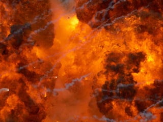 Eggs Milk Butter
Ostrich
Chicken
Duck
Goose
Platypus
Large
Small
Angry
Friendly
Perry
Disguised
Not disguised
Fake
Curse you
 