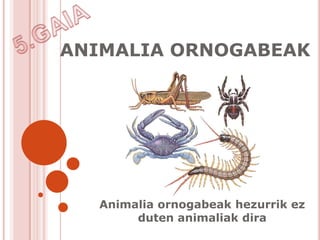 ANIMALIA ORNOGABEAK




  Animalia ornogabeak hezurrik ez
       duten animaliak dira
 