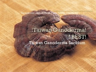 Taiwan Ganoderma Lucidum
01/30/15 1
Ganoderma Lucidum Reishi Farm Taiwan manufactor
 