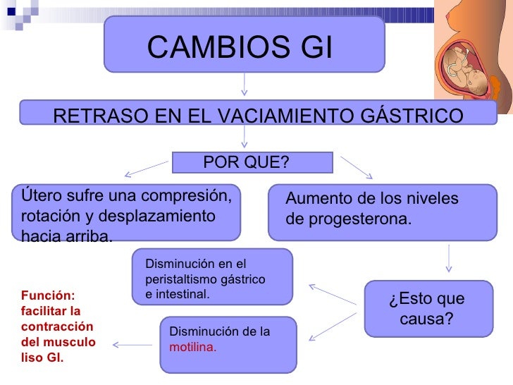 definicion metabolismo basal consejos
