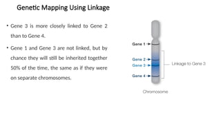 Comprehensive Overview of Gene Linkage and Genetic Mapping Techniques ...