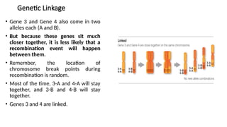 Comprehensive Overview of Gene Linkage and Genetic Mapping Techniques ...