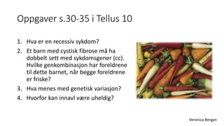 Oppgaver s.30-35 i Tellus 10 
1. Hva er en recessiv sykdom? 
2. Et barn med cystisk fibrose må ha 
dobbelt sett med sykdomsgener (cc). 
Hvilke genkombinasjon har foreldrene 
til dette barnet, når begge foreldrene 
er friske? 
3. Hva menes med genetisk variasjon? 
4. Hvorfor kan innavl være uheldig? 
Veronica Bergan 
